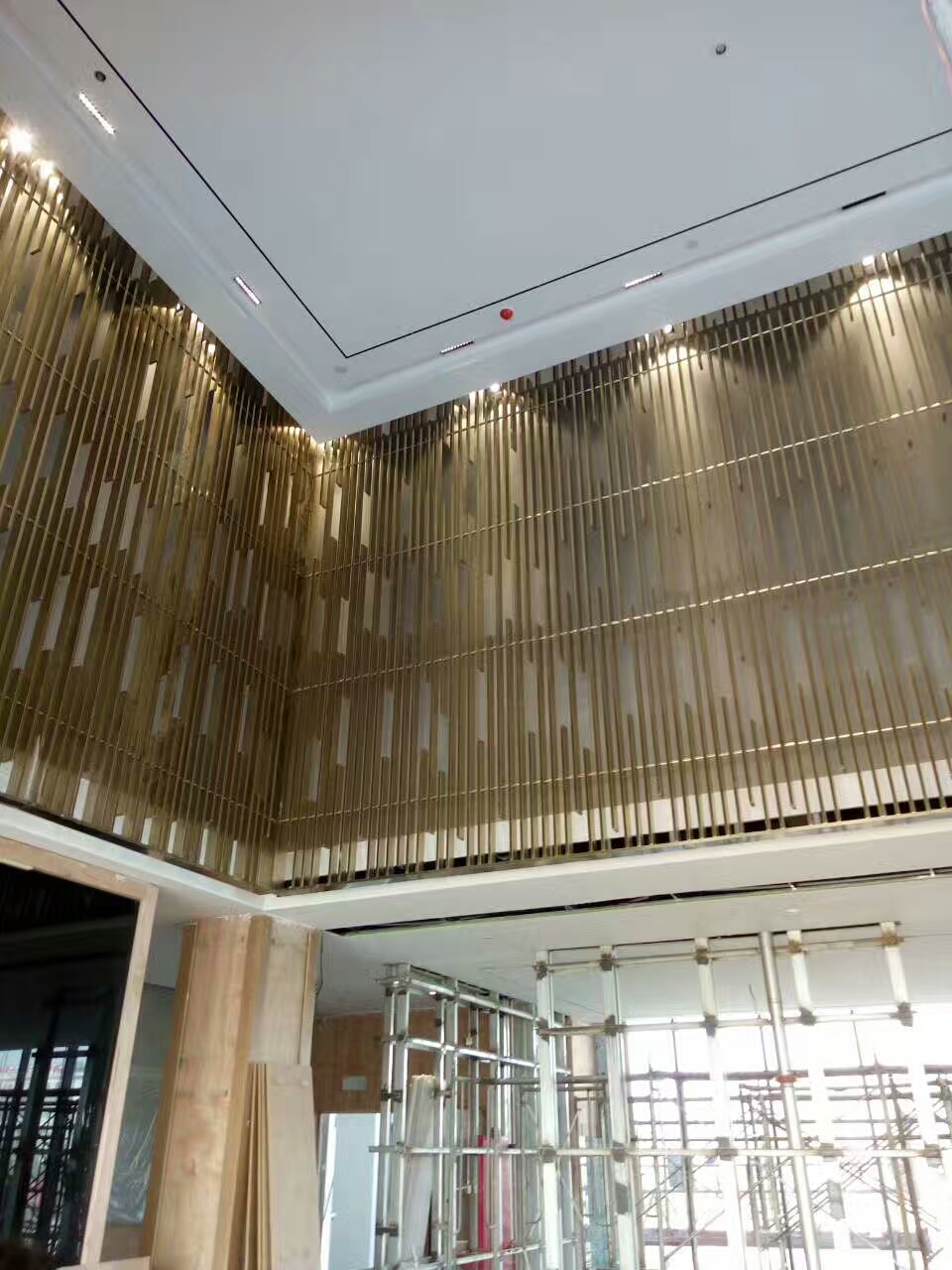 免费黄色视频软件绿巨人